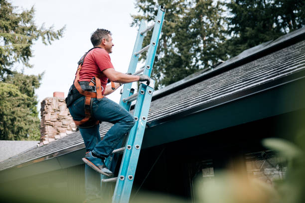 Best Roof Coating and Sealing  in Meridian, PA