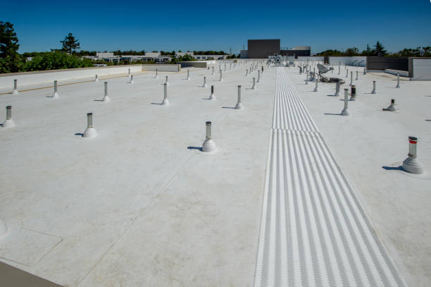 Best Gutter Installation and Repair  in Meridian, PA